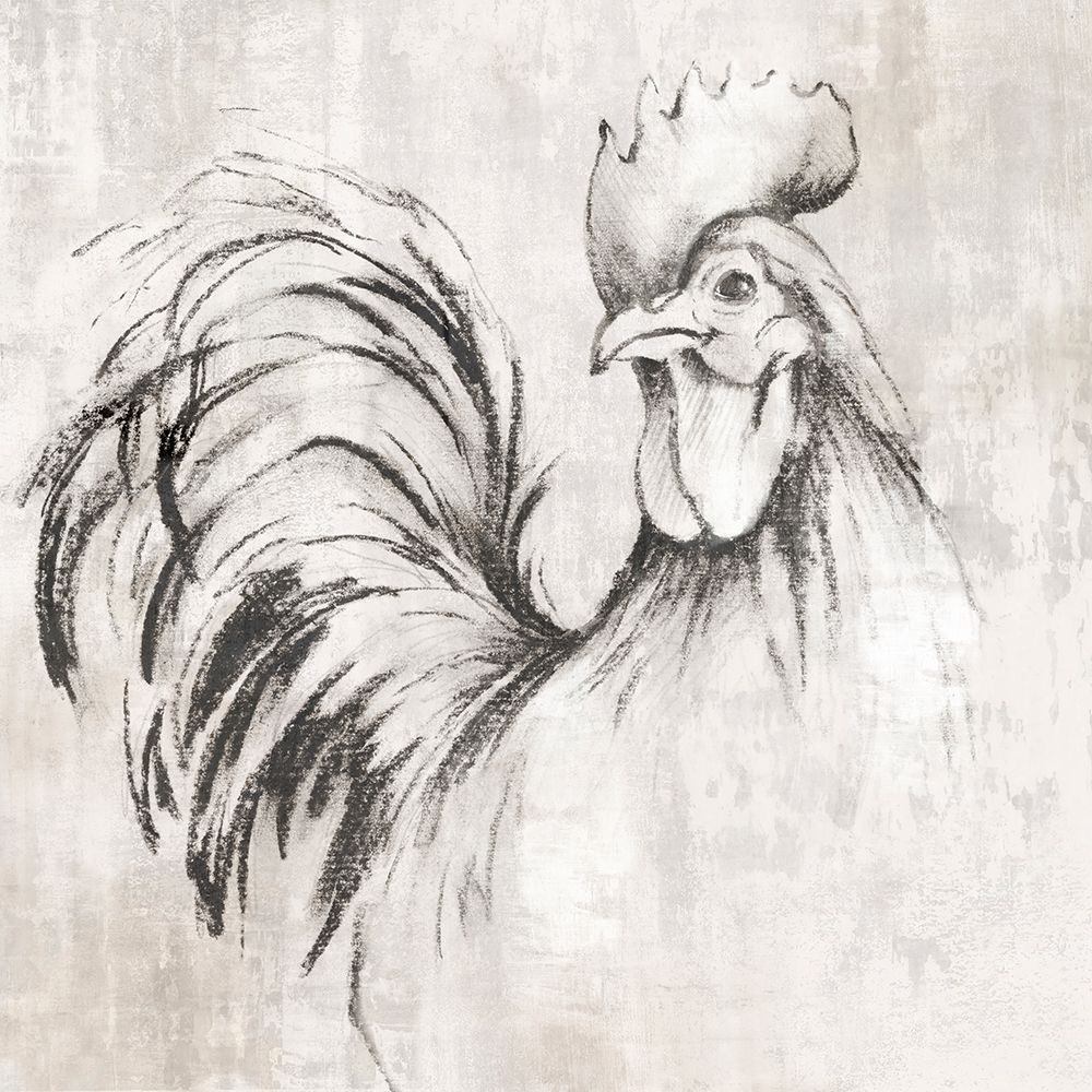 Country Rooster art print by Eli Jones for $57.95 CAD