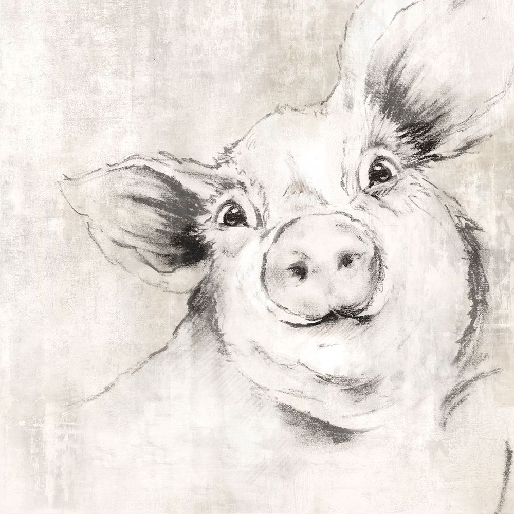 Pig art print by Eli Jones for $57.95 CAD