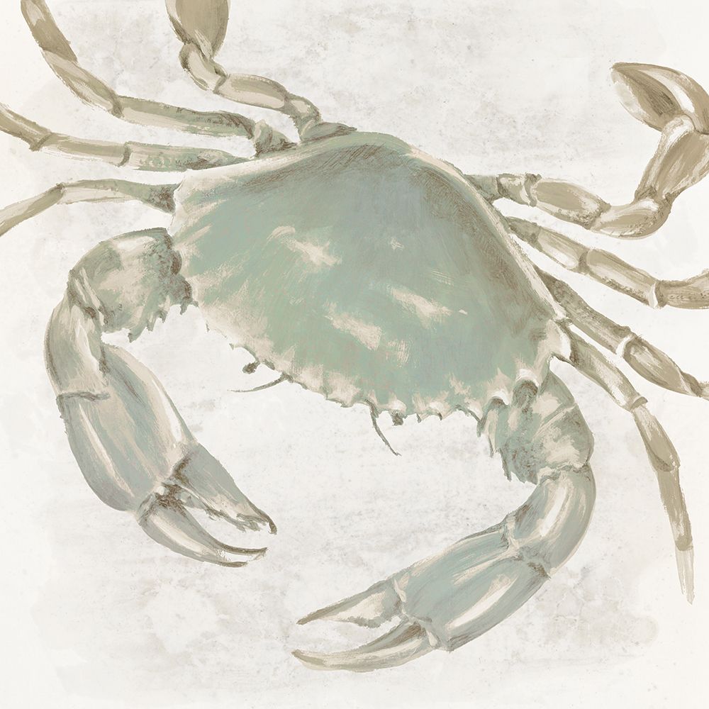 Green Crab art print by Eli Jones for $57.95 CAD