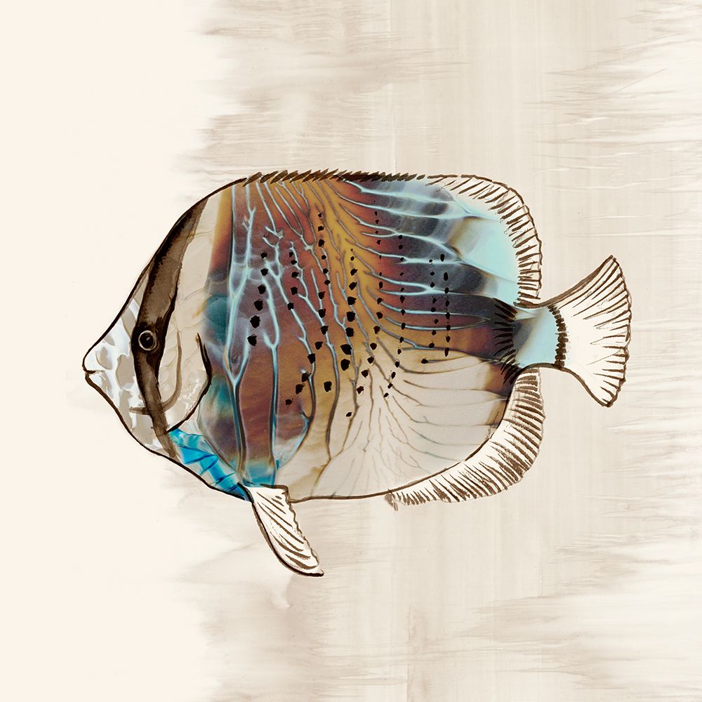 Coral Reef III art print by Eli Jones for $57.95 CAD
