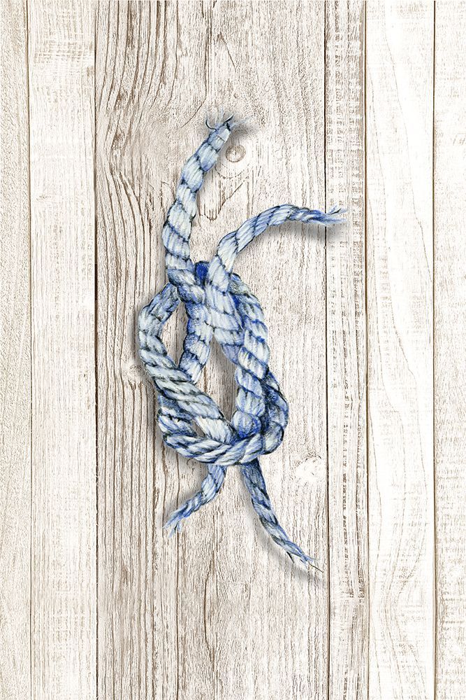 Nautical Rope I art print by Eli Jones for $57.95 CAD