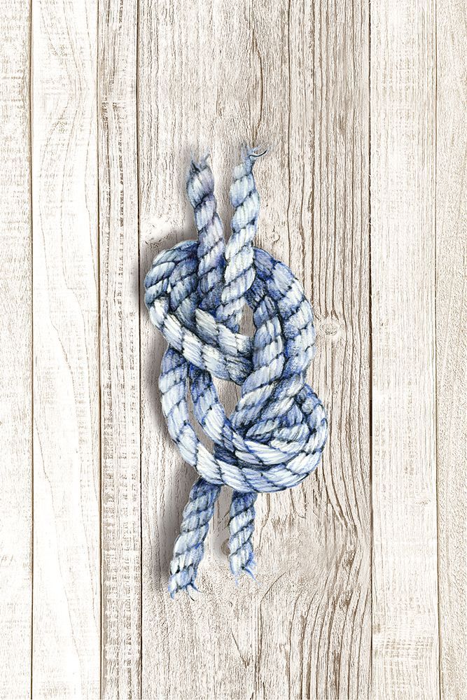 Nautical Rope II art print by Eli Jones for $57.95 CAD