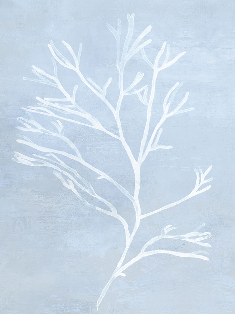 Frosted Coral Silhouette on Blue art print by Eli Jones for $57.95 CAD