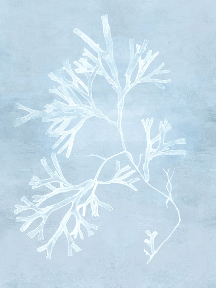 Subtle Coral Silhouettes in Pale Blue art print by Eli Jones for $57.95 CAD