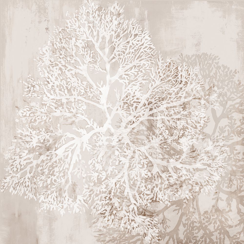 Sea Coral in Neutral II art print by Eli Jones for $57.95 CAD