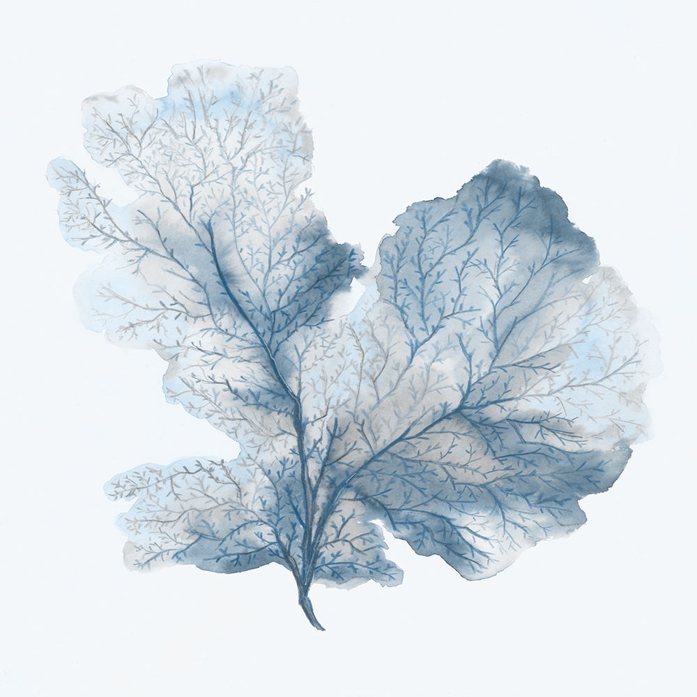 Leafy Coral in Gentle Blue art print by Eli Jones for $57.95 CAD