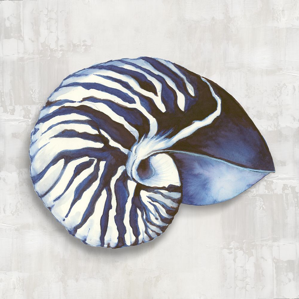 Nautilus Shell in Blue Hues I art print by Eli Jones for $57.95 CAD