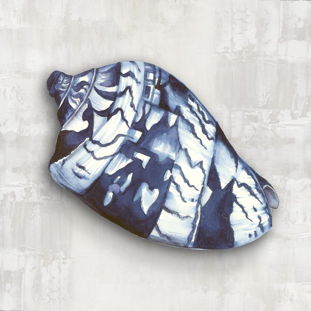 Nautilus Shell in Blue Hues II art print by Eli Jones for $57.95 CAD