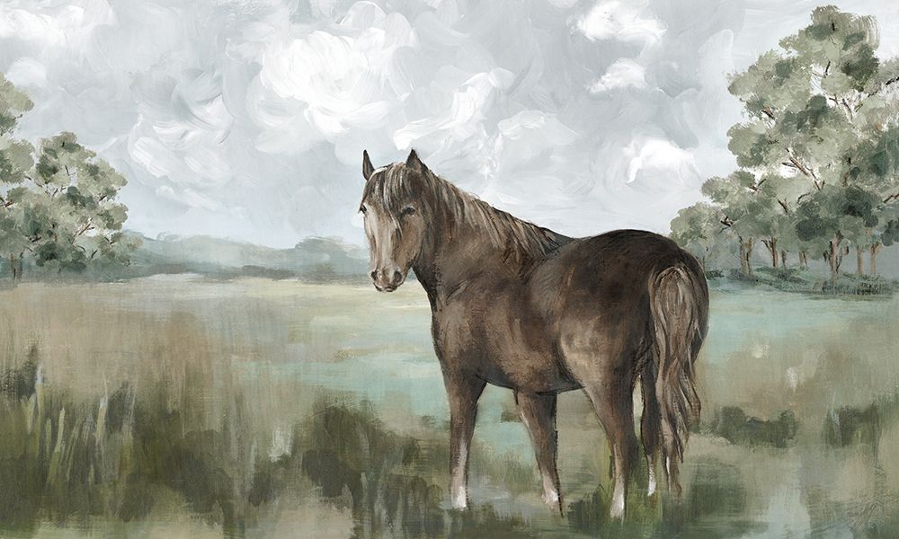 Majestic Horse in Tranquil Field art print by Eli Jones for $57.95 CAD