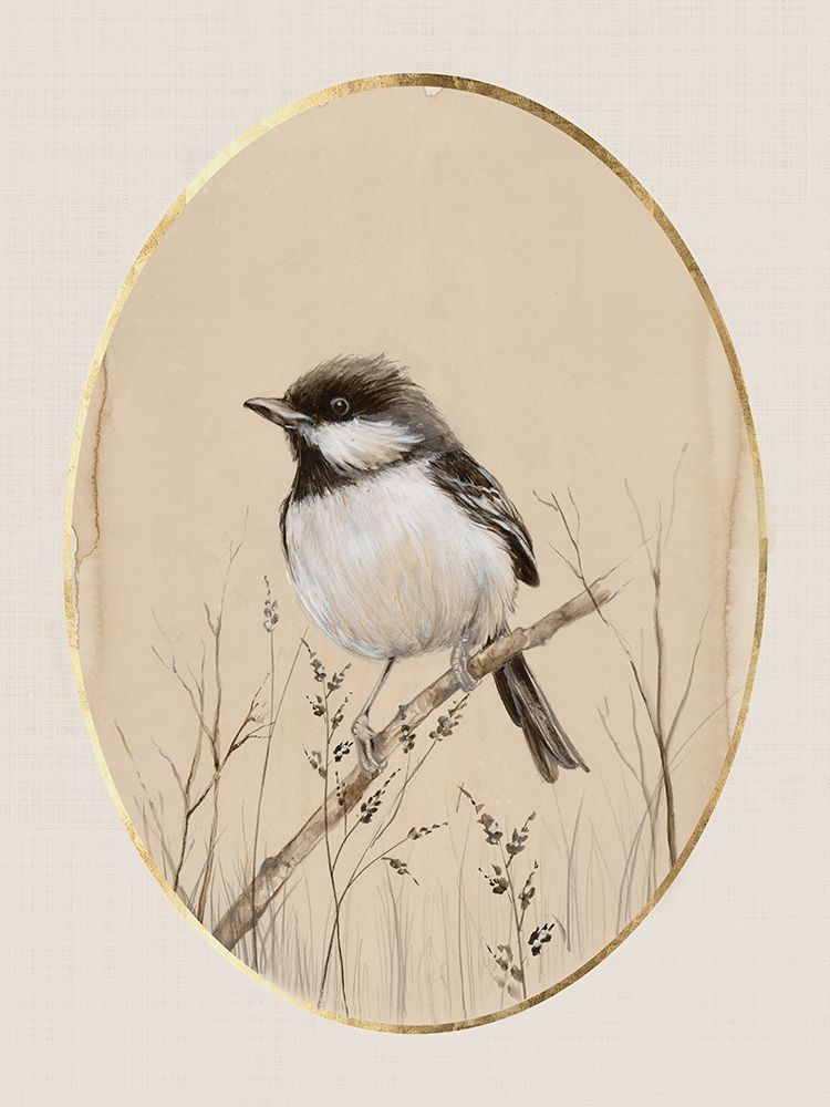 Birds in Frame II art print by Eli Jones for $57.95 CAD