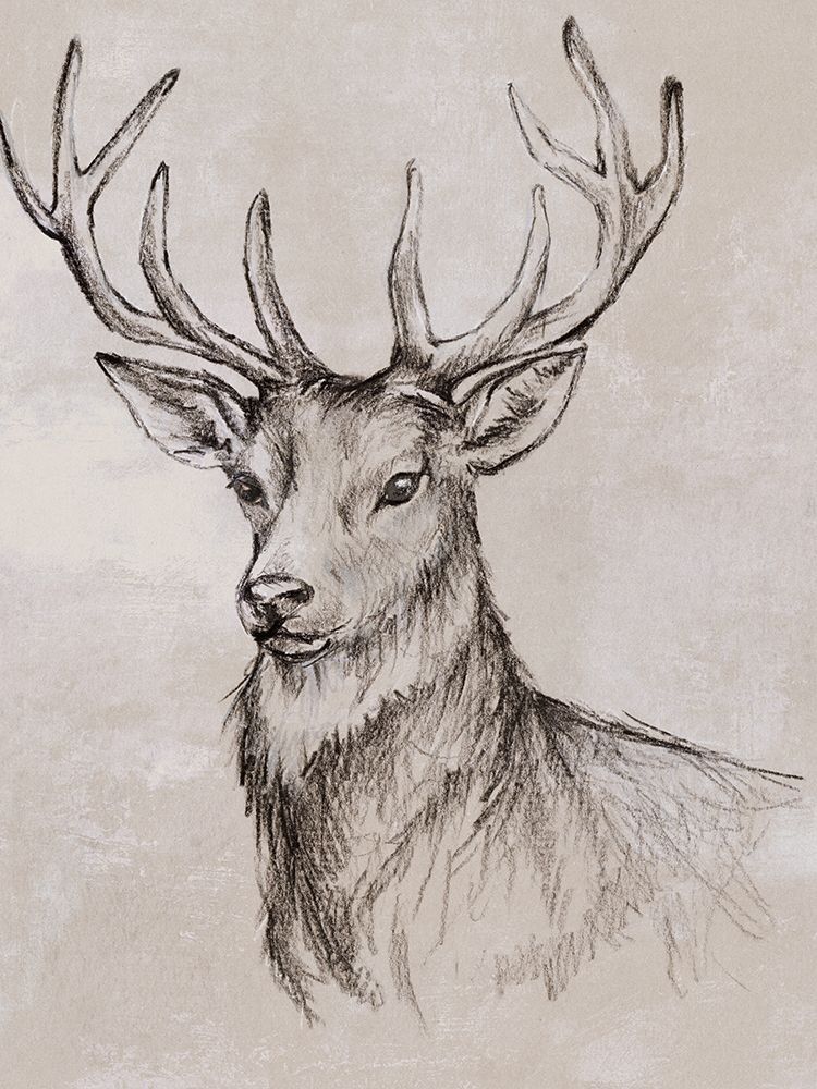 Deer Sketch II art print by Eli Jones for $57.95 CAD