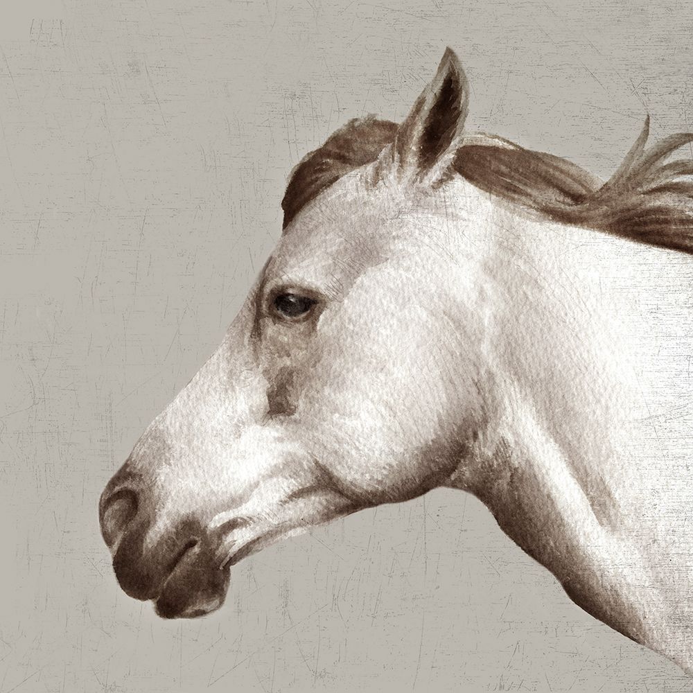 White Stallion art print by Eli Jone for $57.95 CAD