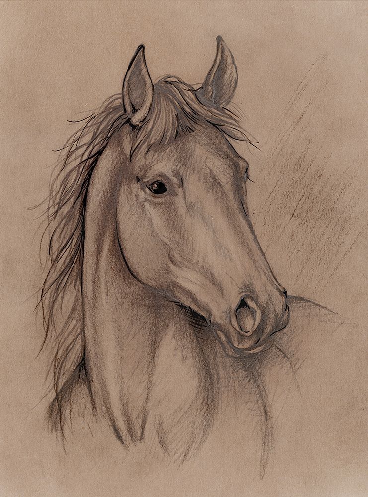 Horse Pencil Sketch art print by Eli Jones for $57.95 CAD