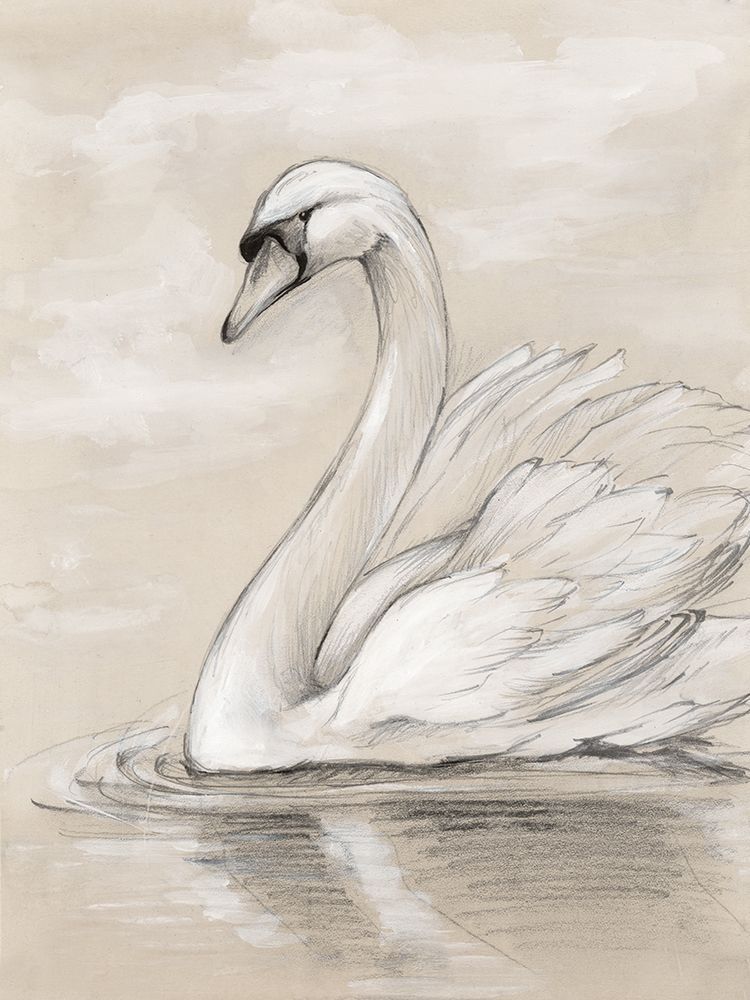 Majestic Swan on lake art print by Eli Jones for $57.95 CAD