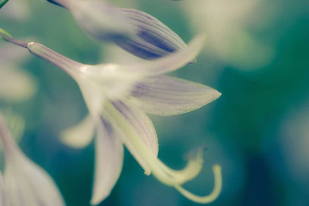 September art print by Oliva Joy for $57.95 CAD