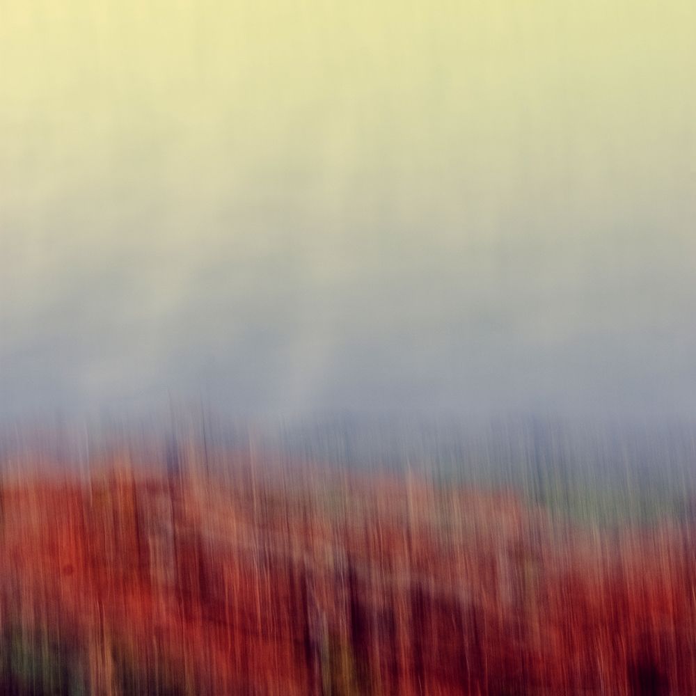 Autumn Soft I art print by Olivia Joy for $57.95 CAD