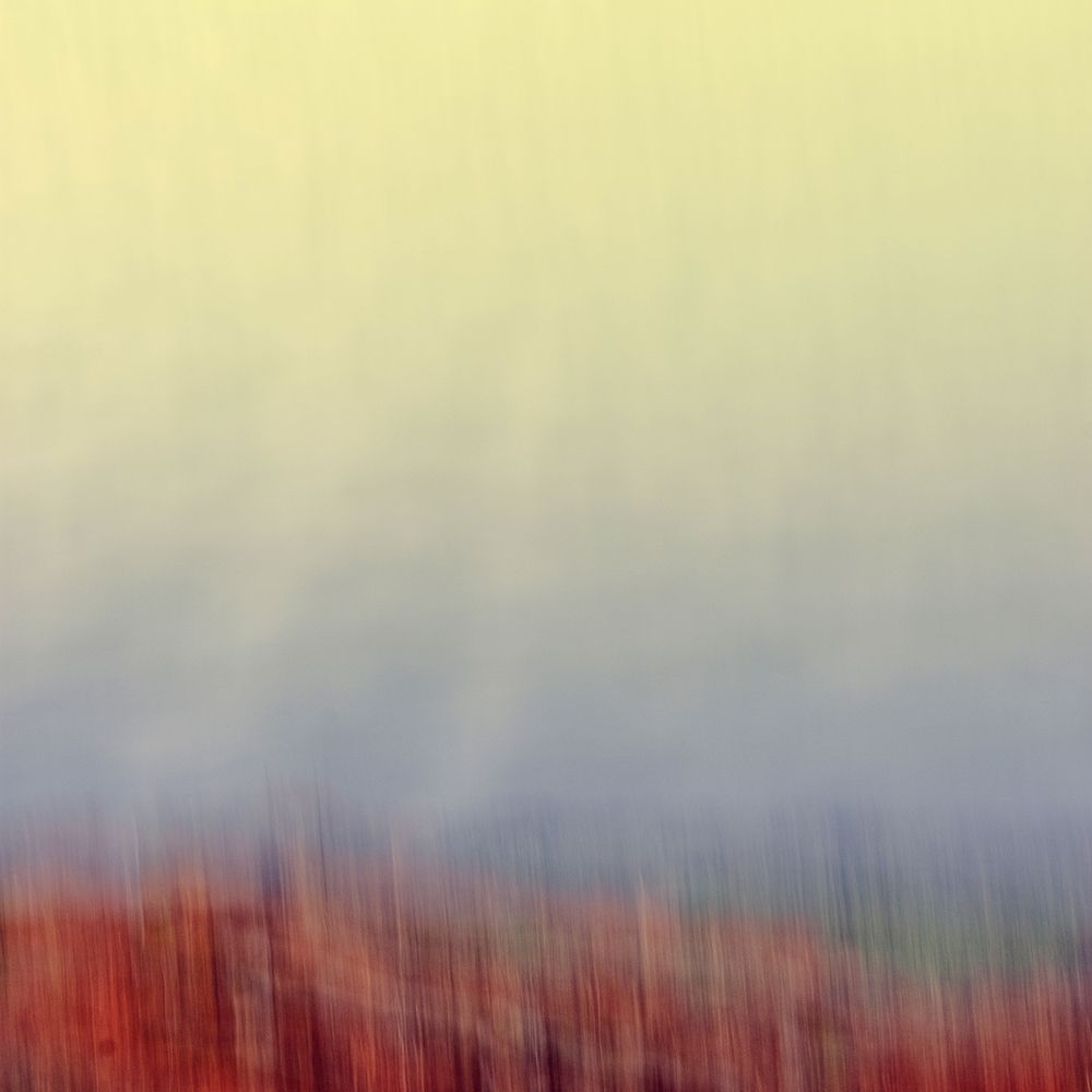 Autumn Soft II art print by Olivia Joy for $57.95 CAD