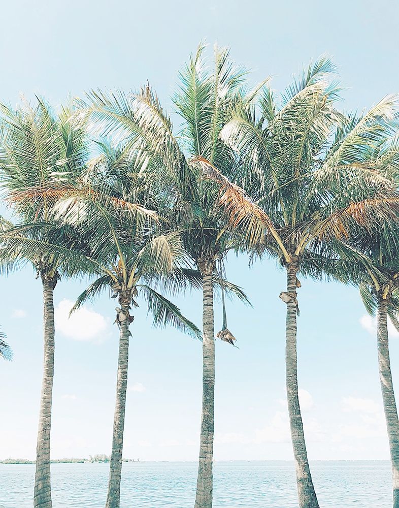 Island of Palms art print by Olivia Joy for $57.95 CAD