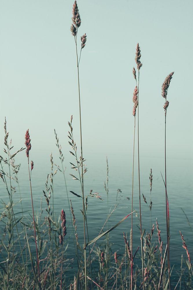 Slient Morning art print by Olivia Joy for $57.95 CAD