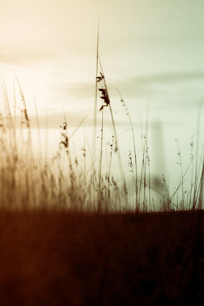 Quiet Dusk II art print by Olivia Joy for $57.95 CAD