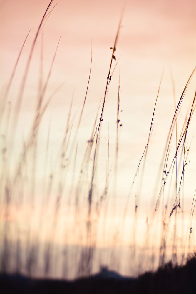 Morning Meadow art print by Olivia Joy for $57.95 CAD