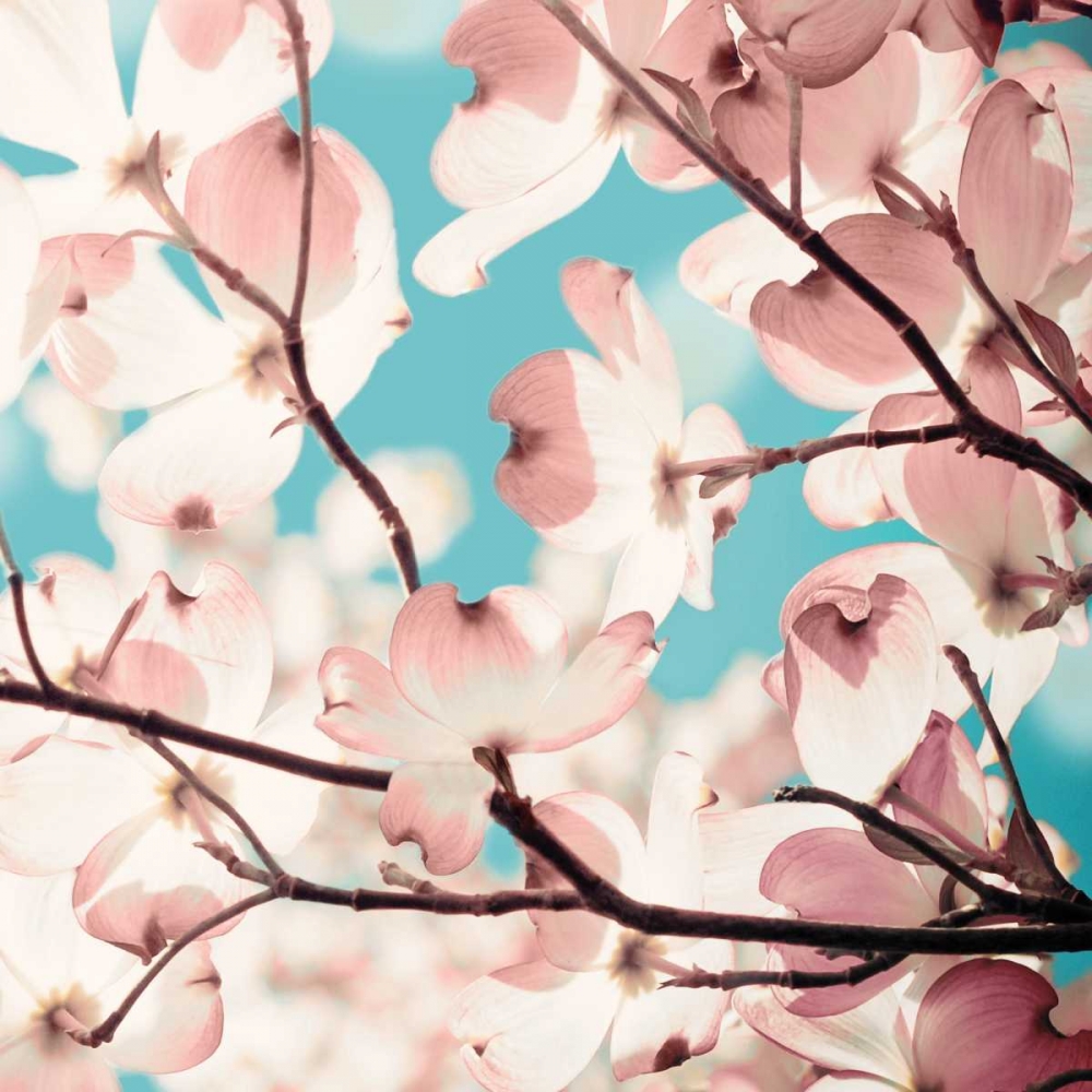 Adorn II art print by Olivia Joy for $57.95 CAD