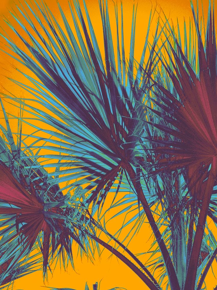 Palms Shadows art print by Irena Orlov for $57.95 CAD