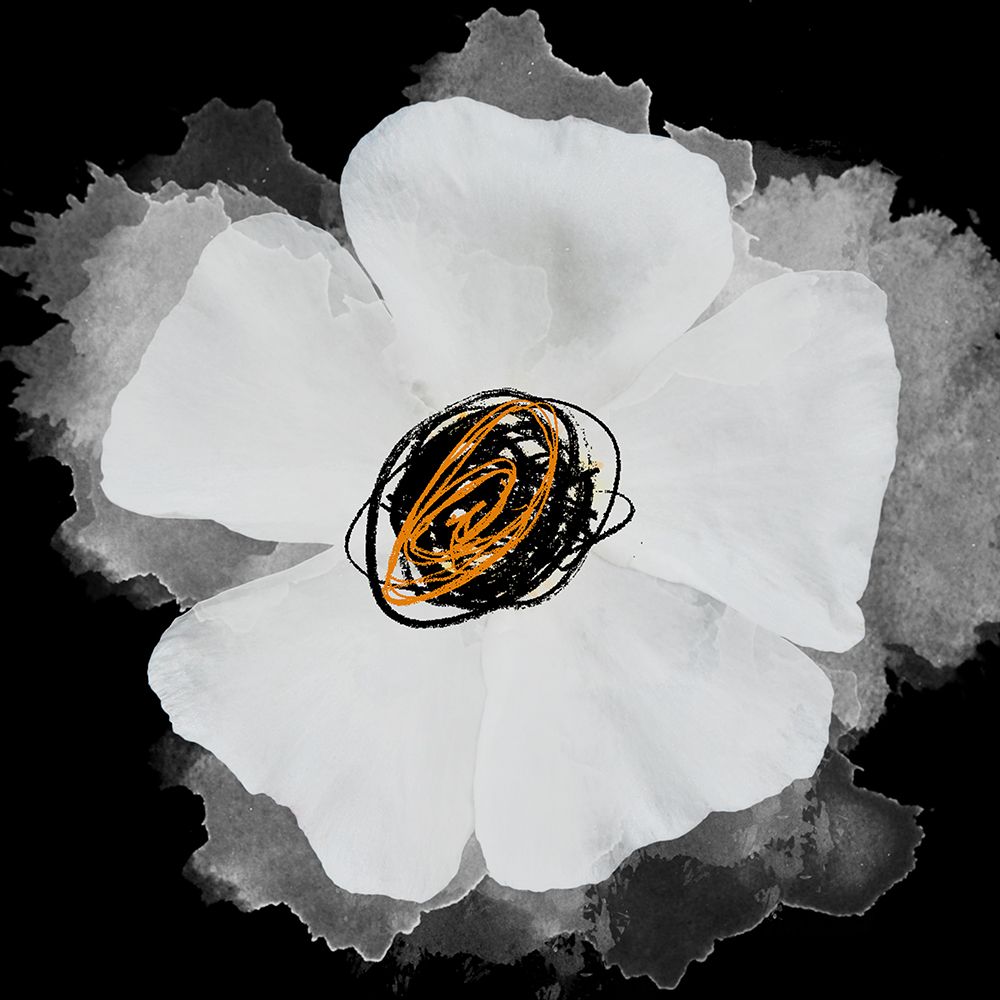 Sagittaria II art print by Irena Orlov for $57.95 CAD