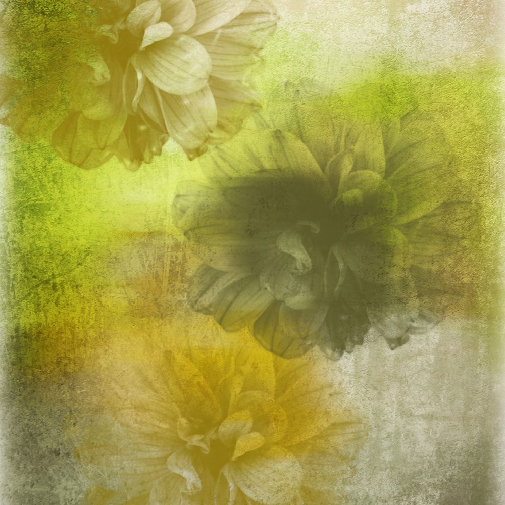 Sparks a Light art print by Irena Orlov for $57.95 CAD