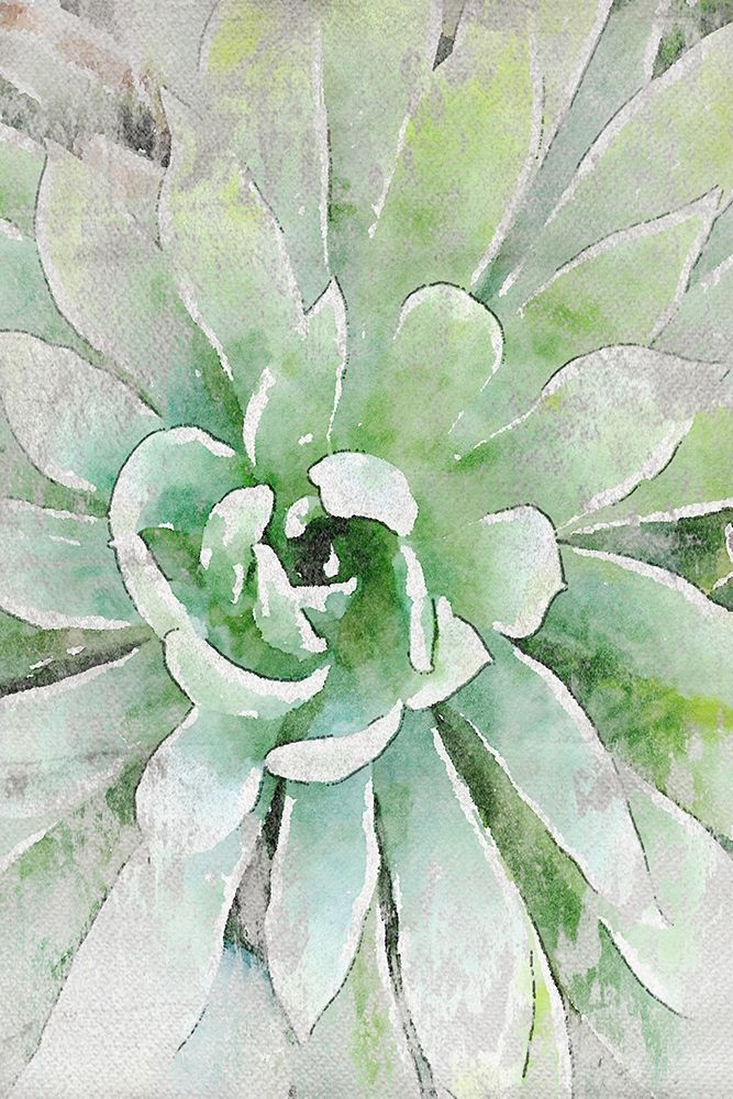 Rustic Succulent I art print by Irena Orlov for $57.95 CAD