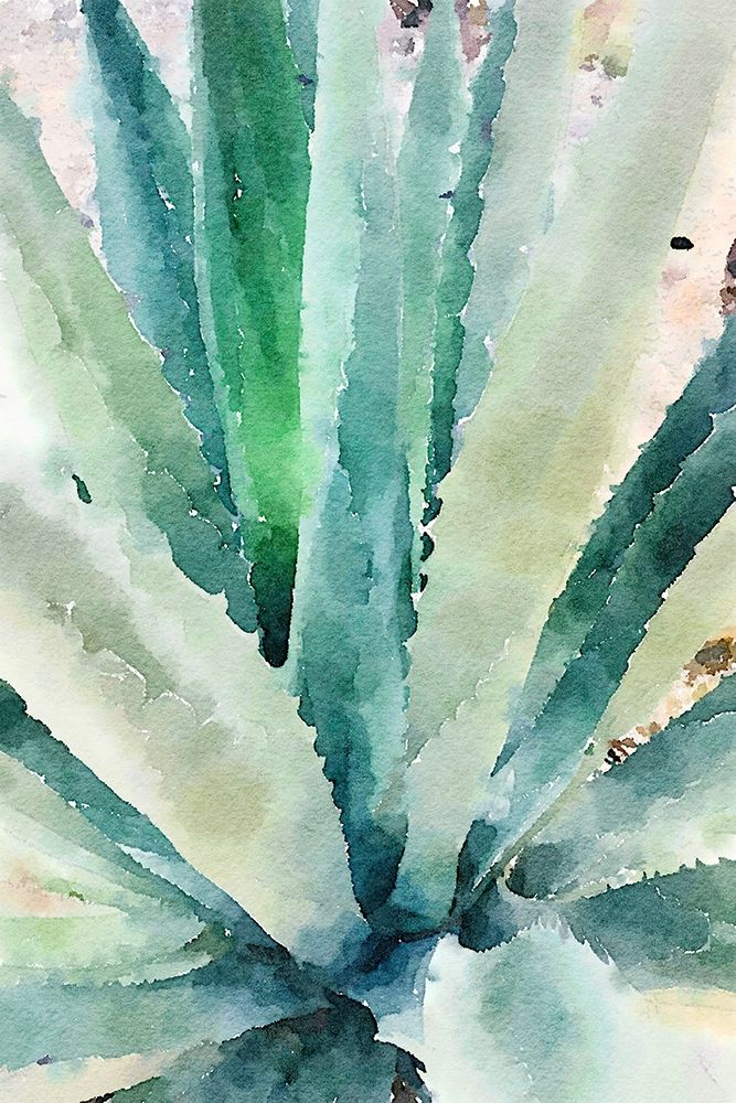 Rustic Succulent II art print by Irena Orlov for $57.95 CAD