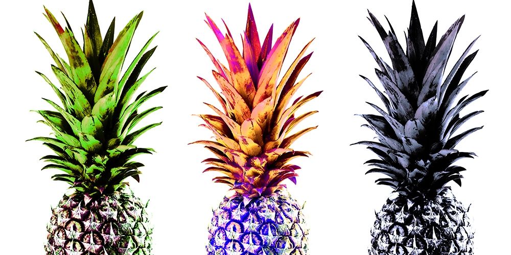 Colourful Pinapples II art print by Irena Orlov for $57.95 CAD