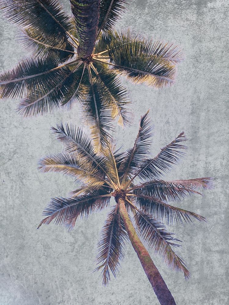 Beachscape Brown Palms art print by Irena Orlov for $57.95 CAD