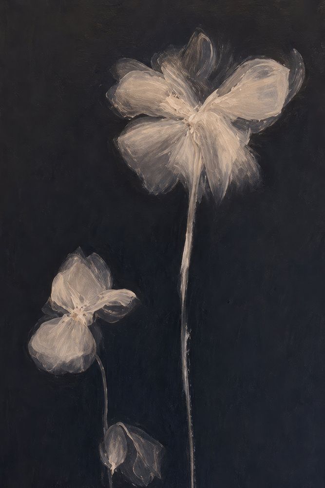Whispering Blooms in the Dark II art print by Irena Orlov for $57.95 CAD