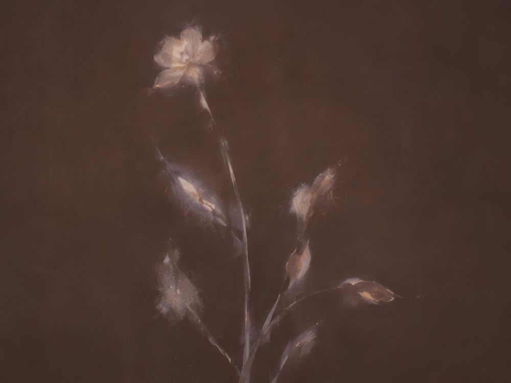 Fading Blossoms in Twilight Shadow II art print by Irena Orlov for $57.95 CAD