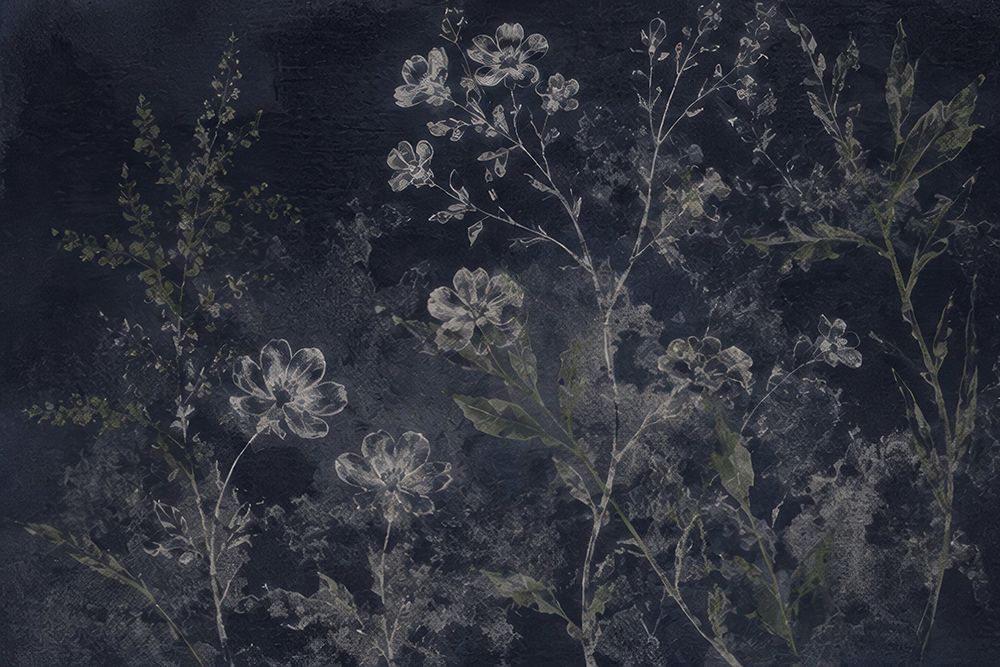 Delicate Blooms in Midnight Hues art print by Irena Orlov for $57.95 CAD