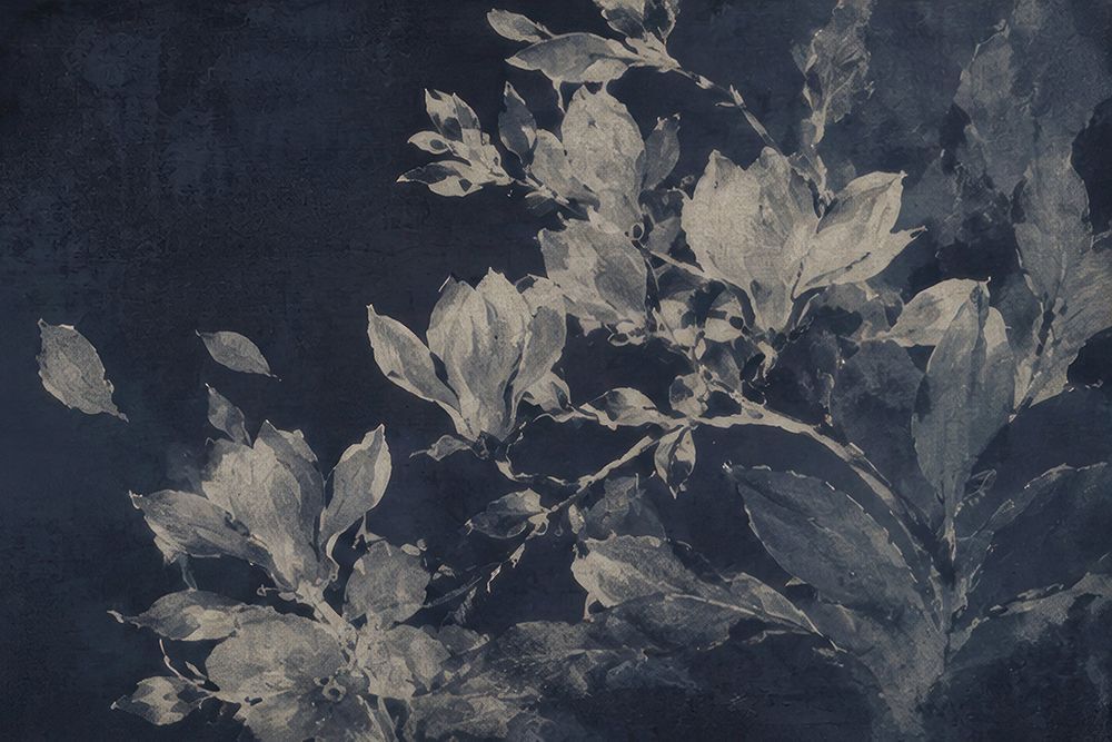 Delicate Blossoms Against Midnight Sky II art print by Irena Orlov for $57.95 CAD