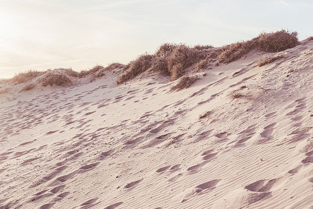 Studio III - Beach 008 art print by Studio III for $57.95 CAD