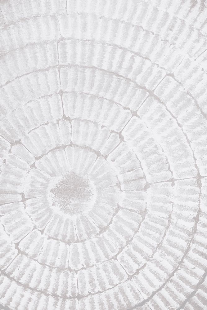 Studio III - Pattern Plate II art print by Studio III for $57.95 CAD