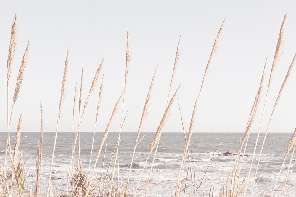 Studio III - Beach Vass 002 art print by Studio III for $57.95 CAD