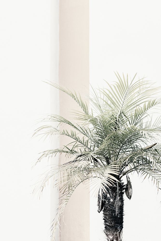 Studio III - Palm Tree art print by Studio III for $57.95 CAD