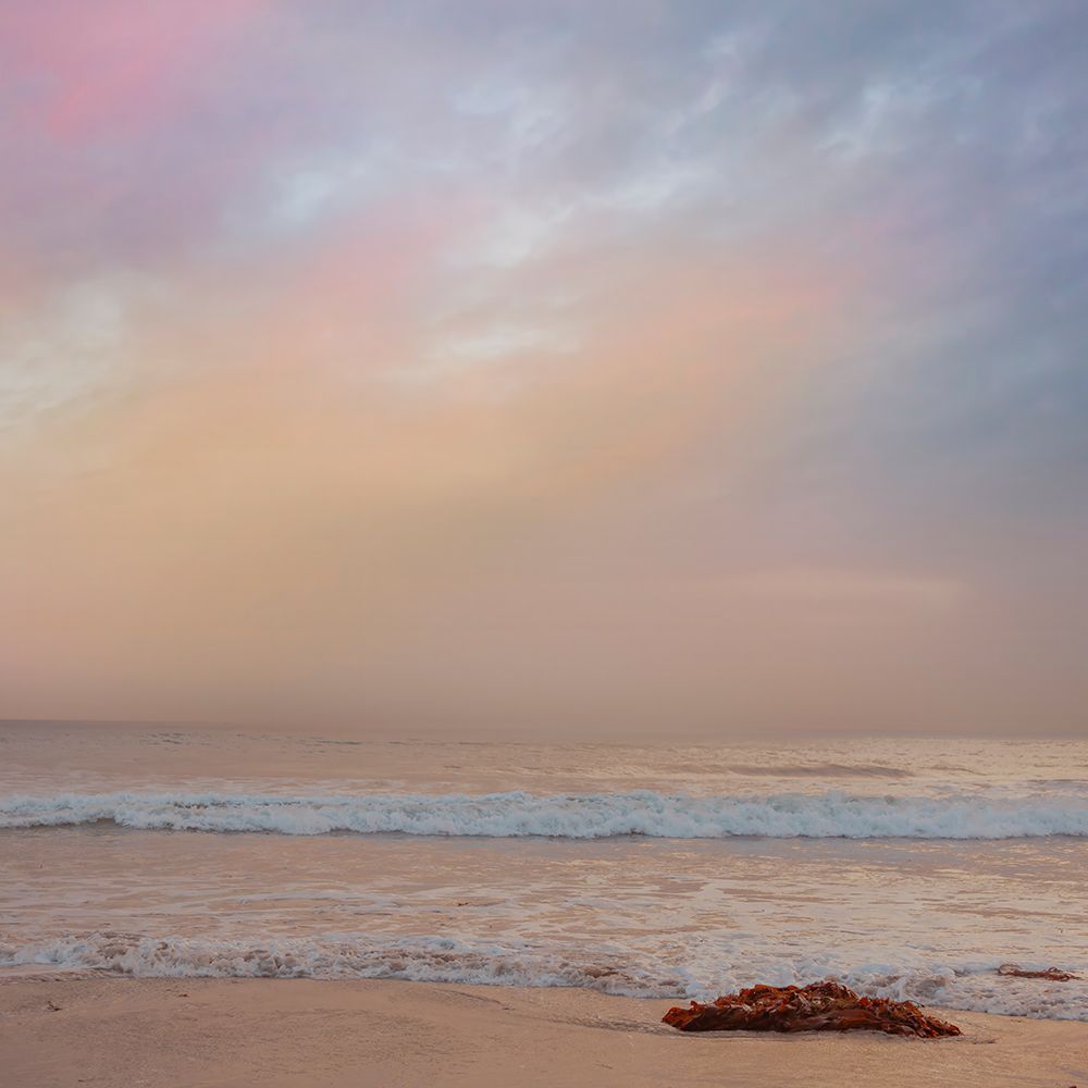 Sunset Shoreline art print by Roberta Murray for $57.95 CAD
