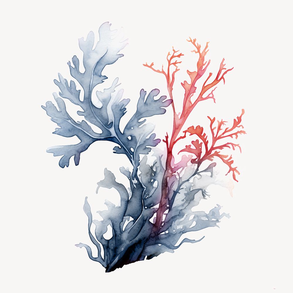 Ocean Blooms I art print by Roozbeh for $57.95 CAD