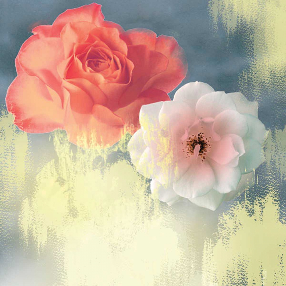 Softness art print by PI Studio for $57.95 CAD