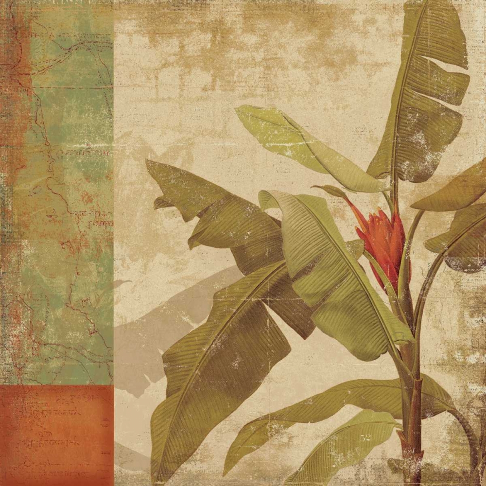 Planta art print by PI Studio for $57.95 CAD