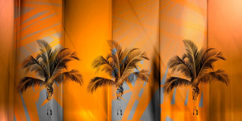 Tropicana art print by PI Studio for $57.95 CAD