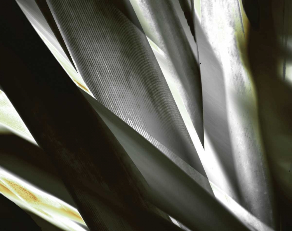 Transparent art print by PI Studio for $57.95 CAD