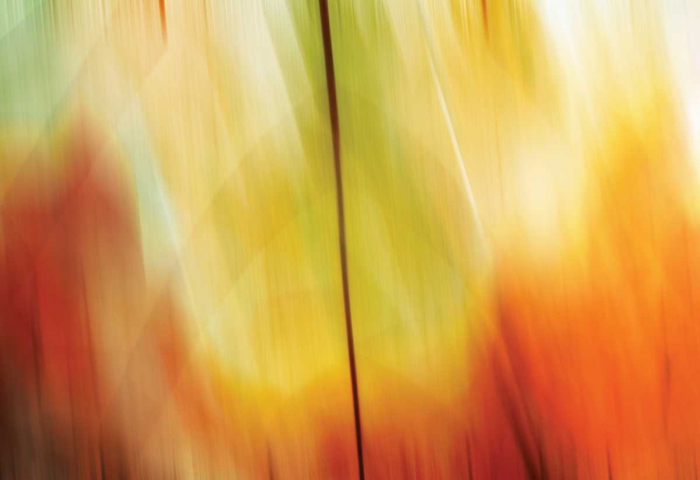 Tie Dye I art print by PI Studio for $57.95 CAD