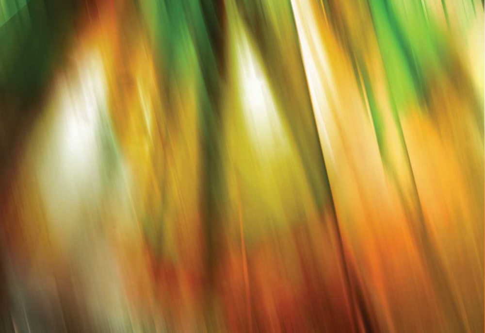 Tie Dye II art print by PI Studio for $57.95 CAD
