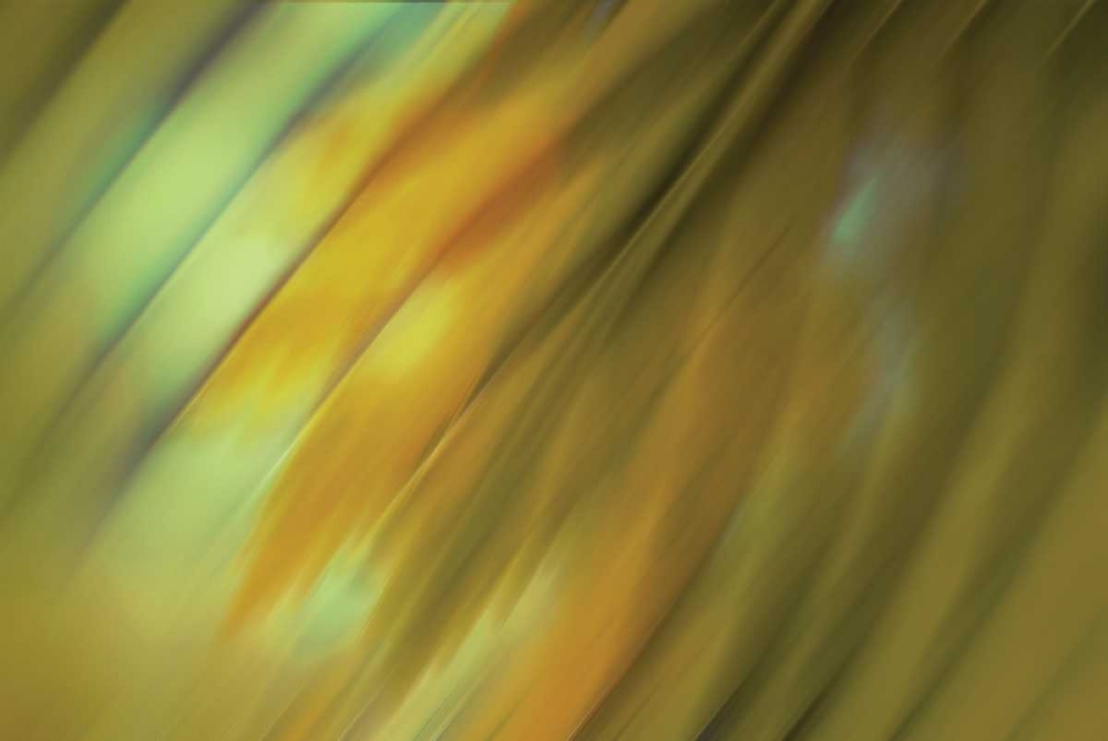 Tie Dye III art print by PI Studio for $57.95 CAD